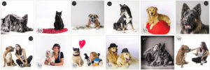 Animaux-studio-mir