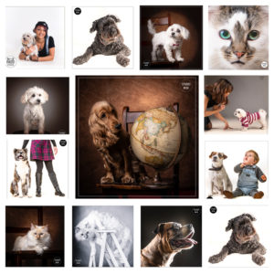 portraitiste animalier