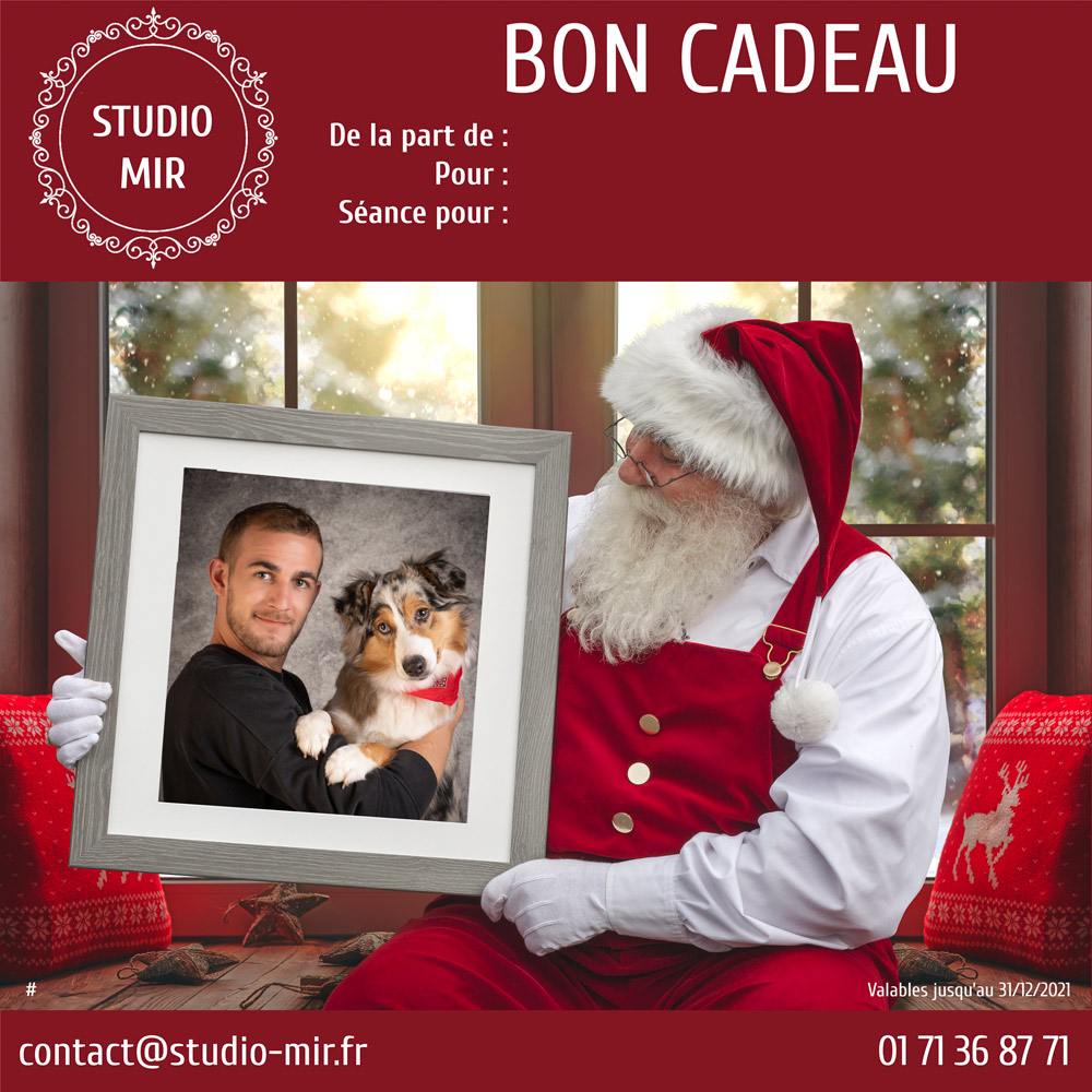Bon Cadeau De Noel Animaux Studio Mir Studio Photo Professionnel Proche De Paris