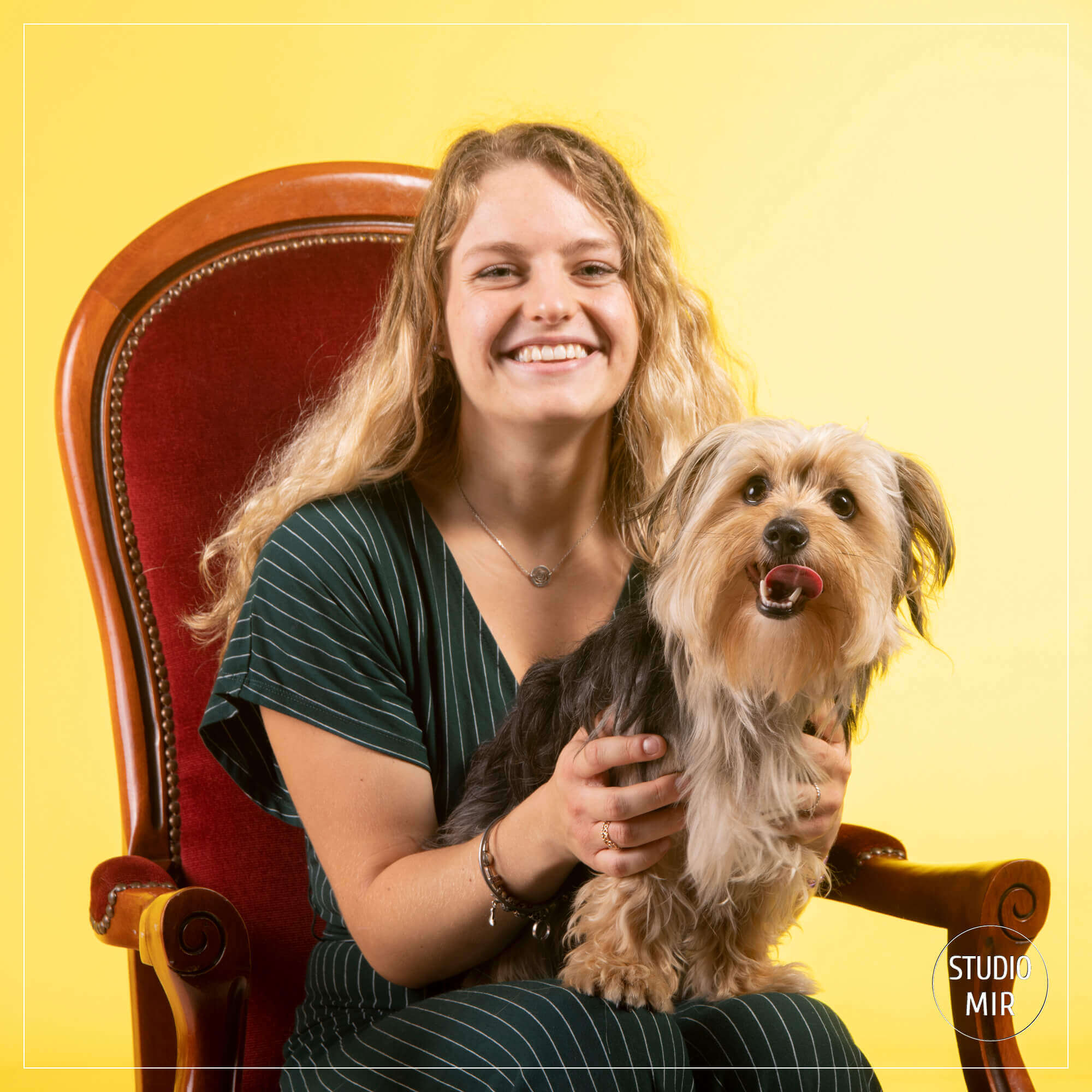 Séance photo chien colorée en studio dans le 94