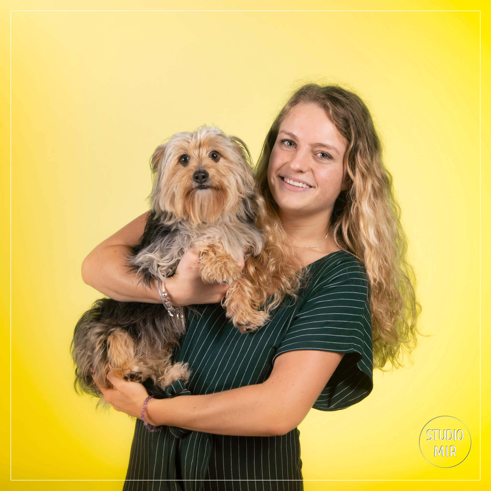 Séance photo chien colorée en studio dans le 94