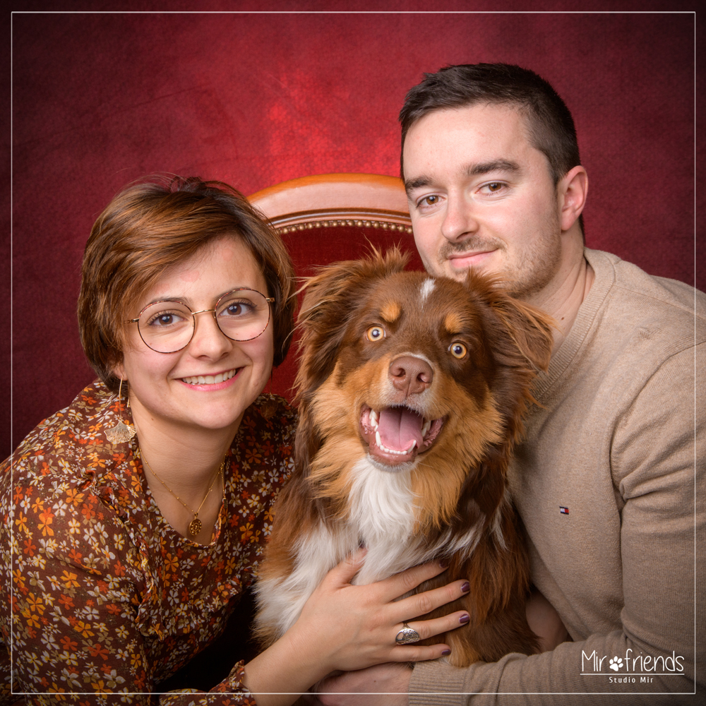 Photographe-chien-Ile-de-France-- Photographe chien en Ile-de-France