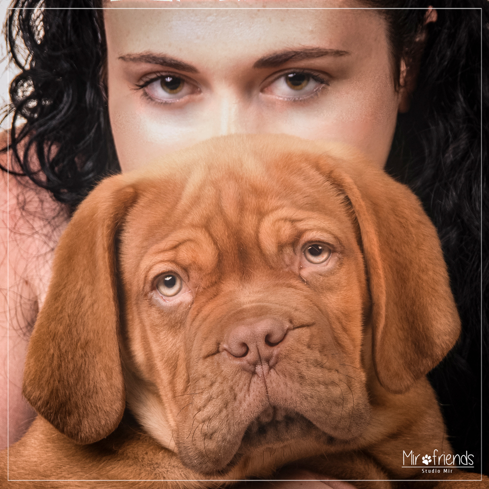 Shooting-photo-avec-un-chien-94-- Shooting photo avec un chien dans le 94