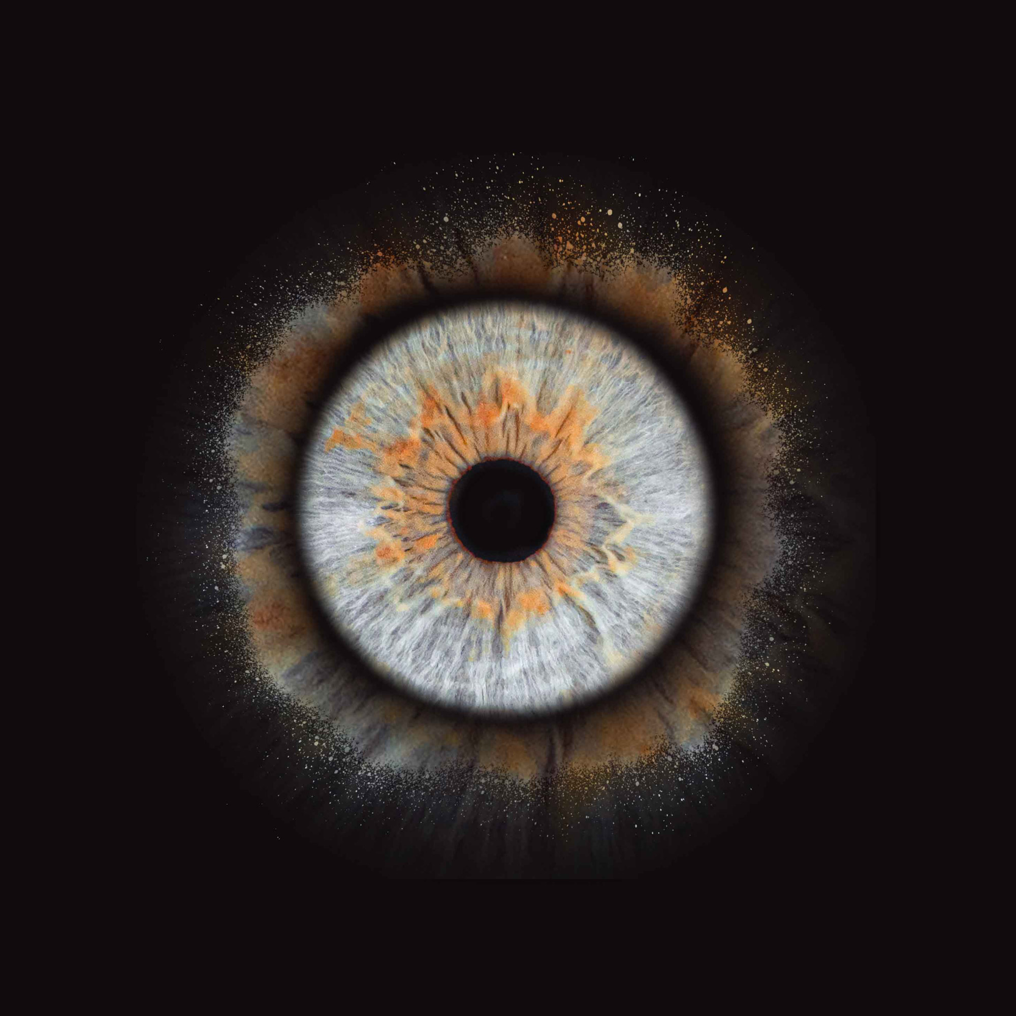 Iris-photographie Iris-photographie